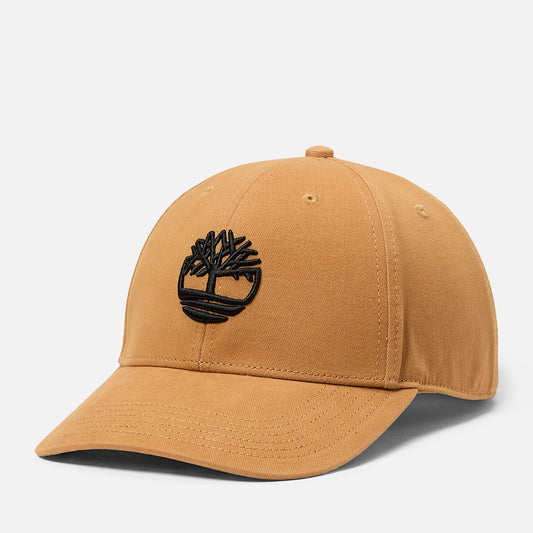 3D Embroidered Baseball Cap
